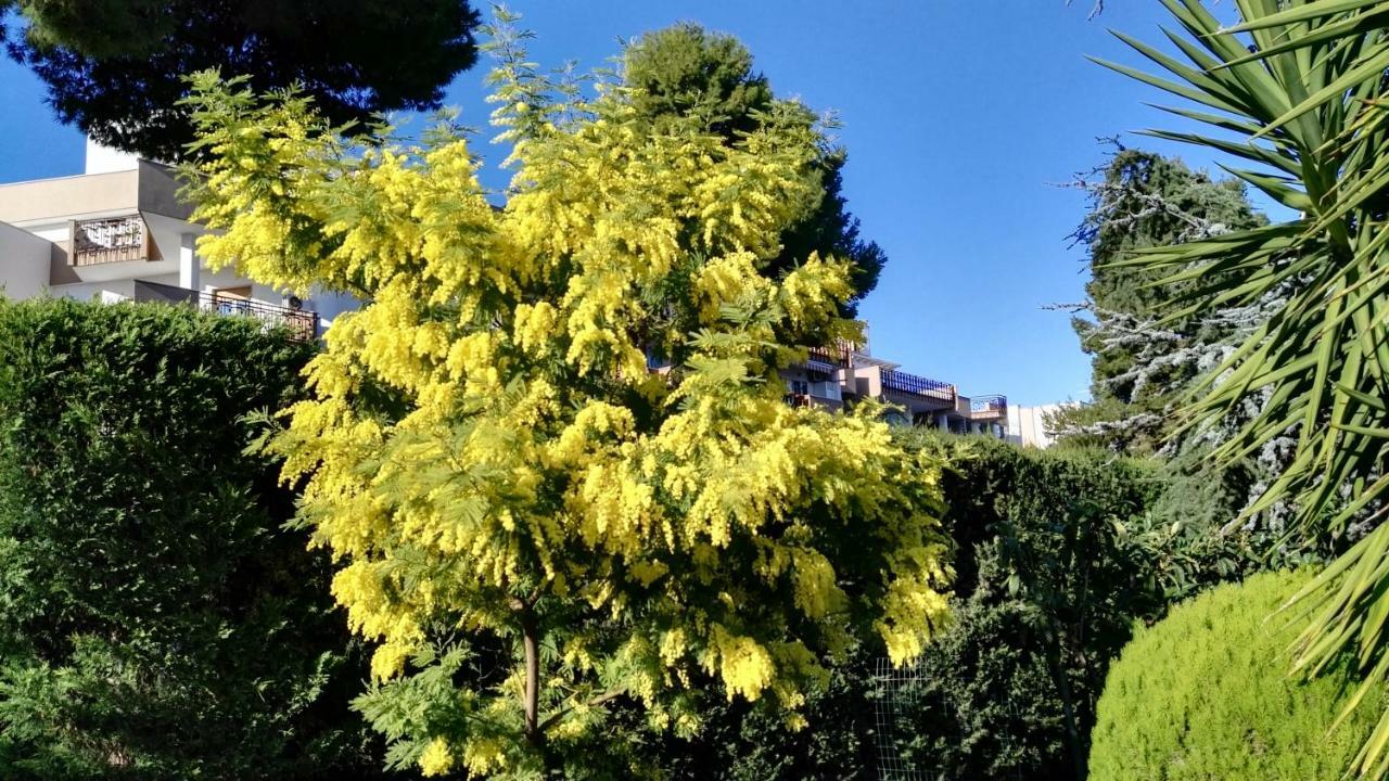 Villa Mary Trani Bagian luar foto
